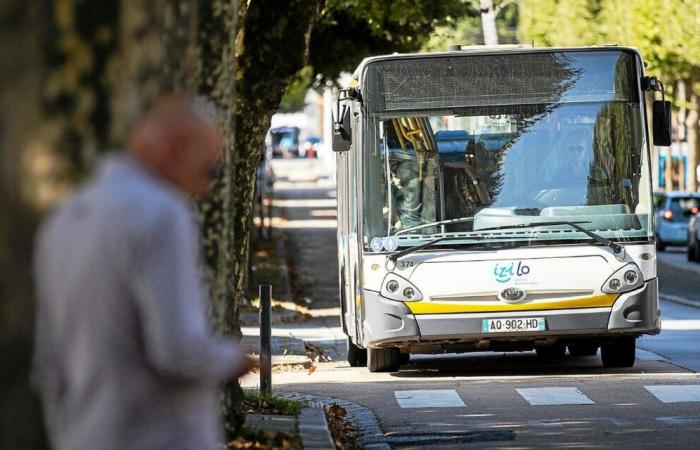 Bus lines disrupted in the Lorient region, this Tuesday, November 19