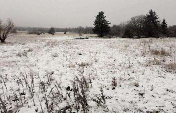 The snow is back in Belgium: here are the first images in the Hautes-Fagnes