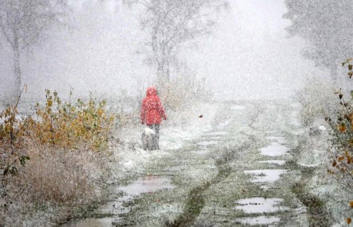 First snow produces a white carpet: code yellow for slippery conditions tonight and tonight during the first winter injection in Flanders