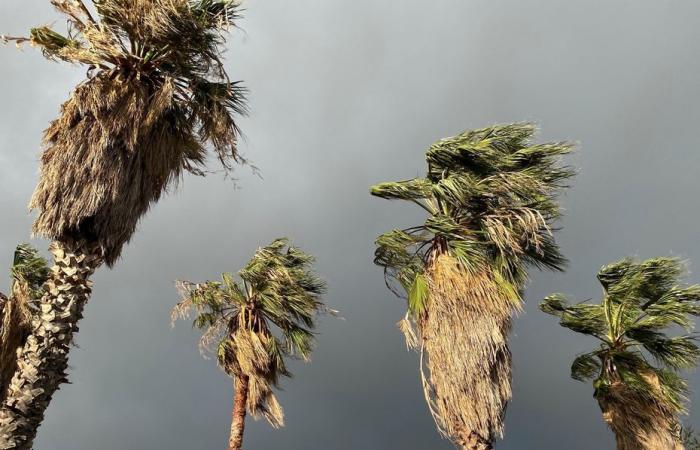 Corsica on orange “wind” alert this Wednesday