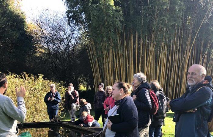 Beautiful day of meeting around the birds of Ariège at the Parc aux Bambous