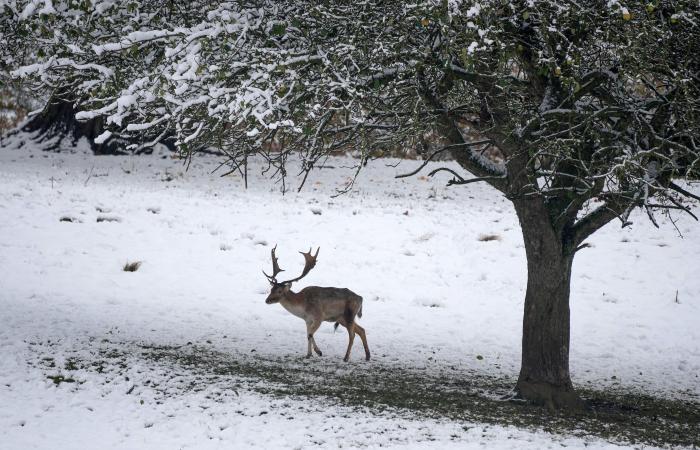 Weather latest: New snow and ice warning issued by Met Office as travel disruption expected