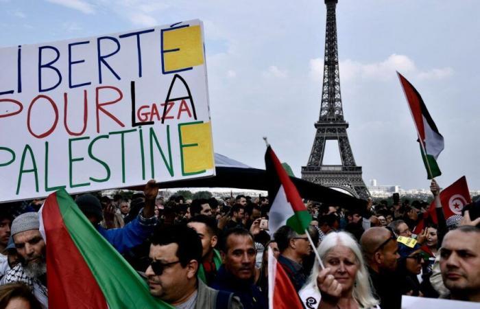 A France-Palestine friendship group created at the National Assembly