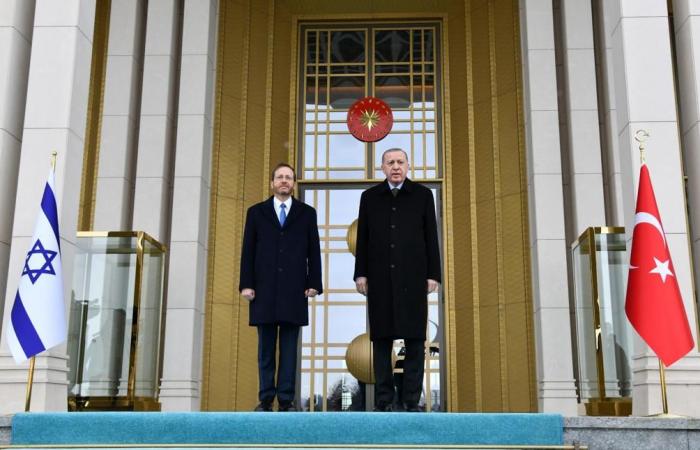 Erdogan admits banning Herzog from flying over Turkey to COP29