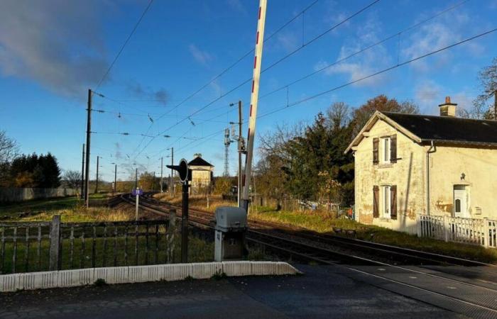 a young person hit by a freight train