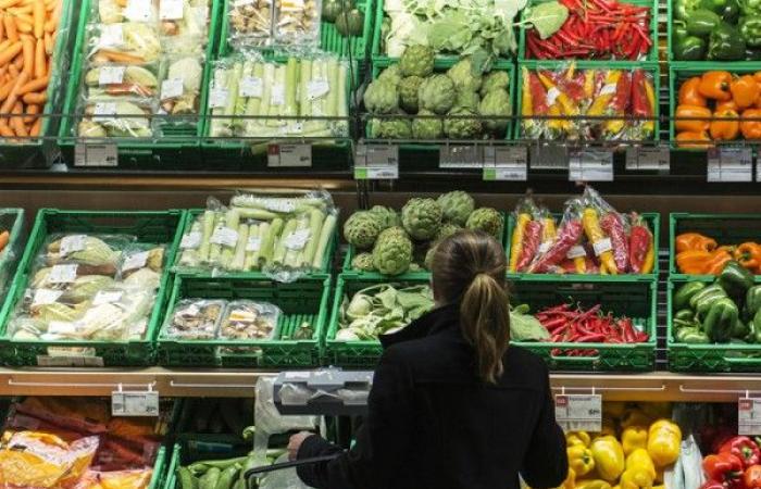 Switzerland: speculation has no major effect on food price fluctuations