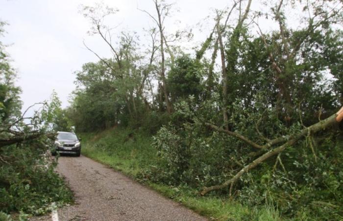 Vendée: 200 calls and around twenty interventions by firefighters due to bad weather