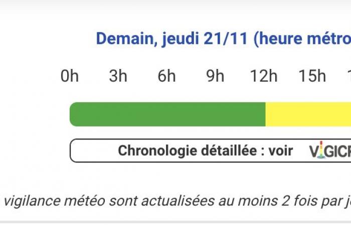 Hautes-Pyrénées, Pyrénées-Atlantiques, Gers, Haute-Garonne, Landes, Ariège and Tarn-et-Garonne on yellow alert Thursday, November 21