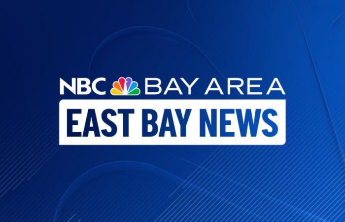 Possible bird flu case reported in child in Alameda County – NBC Bay Area