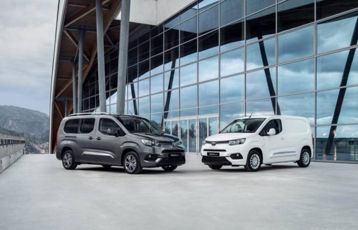 MPVs: comparison of the best family models