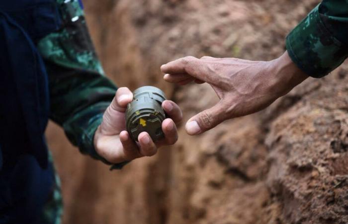 War in Ukraine: Washington will supply antipersonnel mines to Ukraine