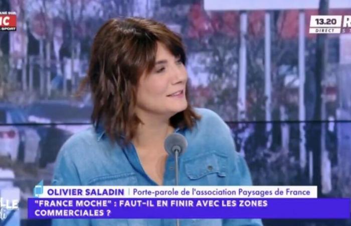 Estelle Denis very surprised live on RMC by her guest, spokesperson for an association, who is none other… than a former famous actor!