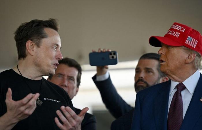 The relationship between Donald Trump and Elon Musk annoys some close to the new President of the United States