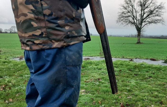 A hunter injured by gunshot during a hunting accident in the Oise, an investigation underway