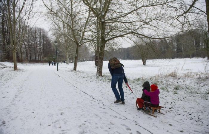 Code yellow for slippery roads during the first winter offensive: snow showers and up to five centimeters of winter carpet