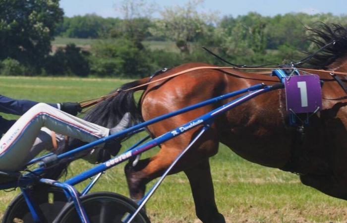 equestrian competitions canceled in France