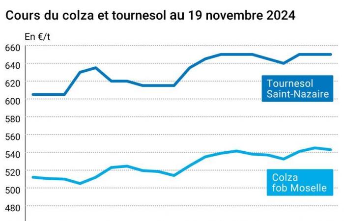 COTidienne | Oilseeds – Fall in rapeseed and soybean prices against a backdrop of technical sales after increases in previous days