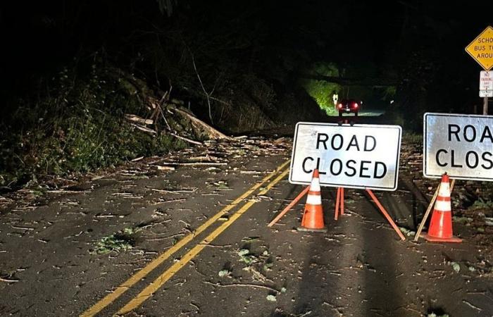 Over 215,000 without power as ‘bomb cyclone’ brings strong winds to western Washington