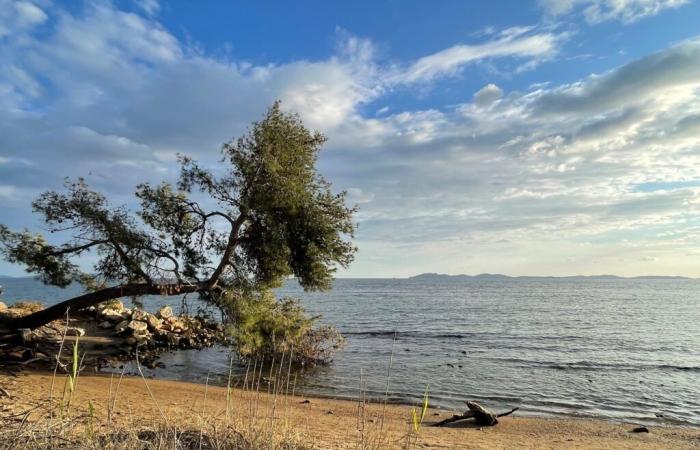 TOULON: Weather – A very strong wind Wednesday in Provence