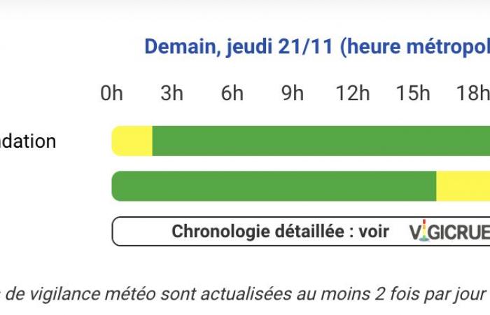 Hautes-Pyrénées, Pyrénées-Atlantiques, Gers, Haute-Garonne, Landes, Ariège and Tarn-et-Garonne on yellow alert Thursday, November 21