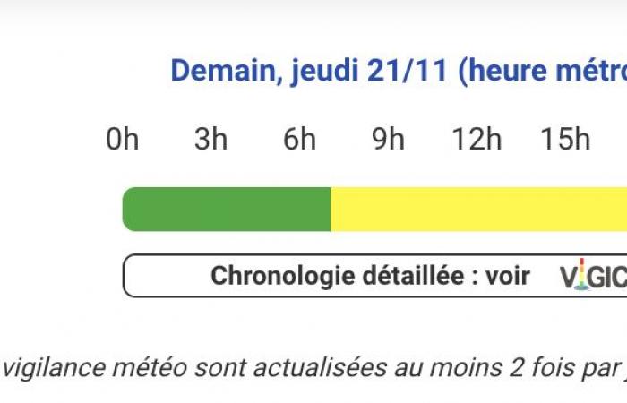 Hautes-Pyrénées, Pyrénées-Atlantiques, Gers, Haute-Garonne, Landes, Ariège and Tarn-et-Garonne on yellow alert Thursday, November 21