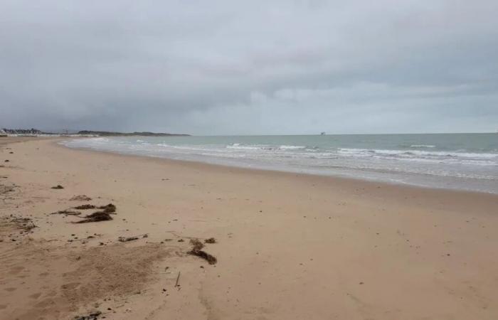 Pas-de-Calais: a body discovered on a beach in Marck