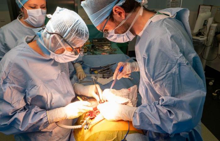 The Bordeaux University Hospital carried out the first triple cross kidney transplant in France