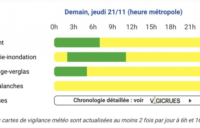 Hautes-Pyrénées, Pyrénées-Atlantiques, Gers, Haute-Garonne, Landes, Ariège and Tarn-et-Garonne on yellow alert Thursday, November 21