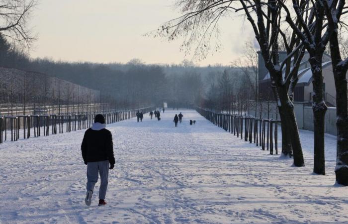 “A few flakes”, snow announced by Météo France on Thursday and Friday in the Oise