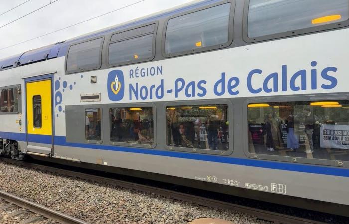 2 out of 3 TER trains will run on November 21, what disruptions will there be in Hauts-de-France?