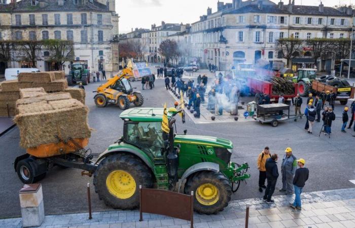 “Blocking the country permanently is not acceptable,” reacts the Minister of Agriculture on France 2