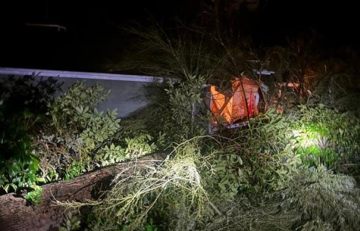 Deadly bomb cyclone slams Seattle area with fierce winds leaving over 600,000 without power