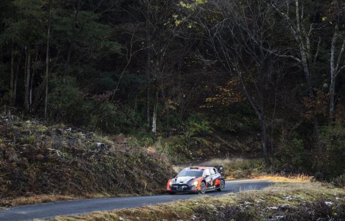 WRC – The program for the 2024 Rally Japan