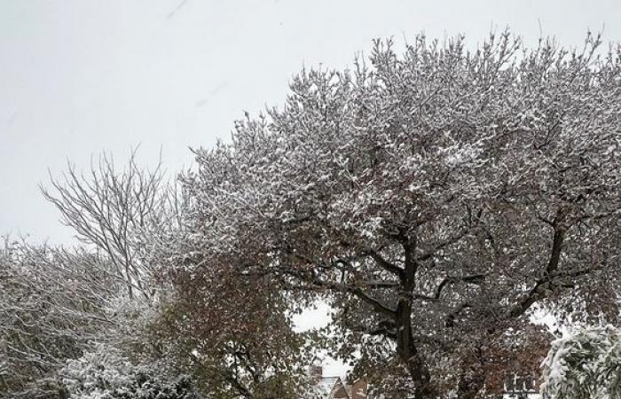 UK weather: New snow and ice alerts issued as forecasters warn of more travel disruption | UK News