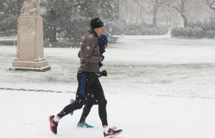 Snow: 1 to 3 cm in Paris, 7 cm in Essonne, limited speed… what to expect in Île-de-France this Thursday