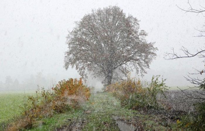 First snow produces a white carpet: code yellow for slippery conditions tonight and tonight during the first winter injection in Flanders