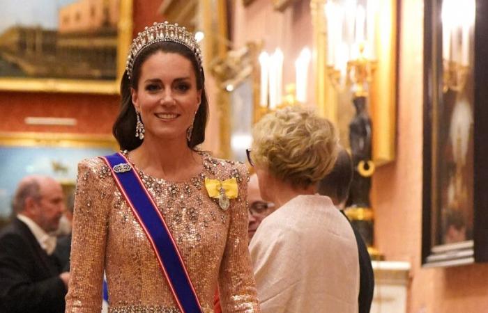 Queen Camilla, resplendent at the gala of the diplomatic corps with Charles III and Prince William