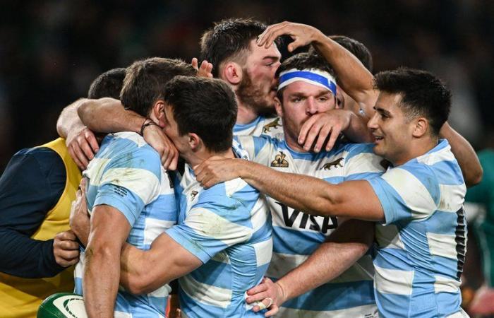 France – Argentina. The composition of Argentina against France with 10 Top 14 players