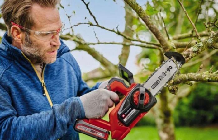 The new price on this cordless chainsaw on this specialized site defies the competition