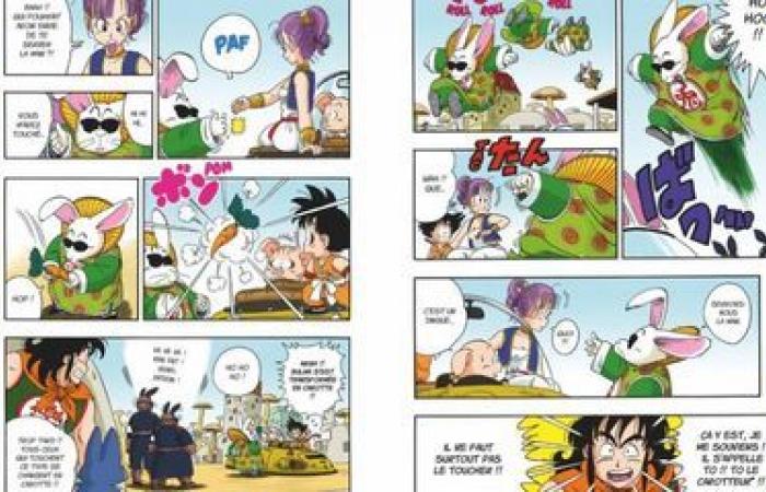 Still on its “magic cloud”, “Dragon Ball” celebrates its 40th anniversary and is still as attractive as ever