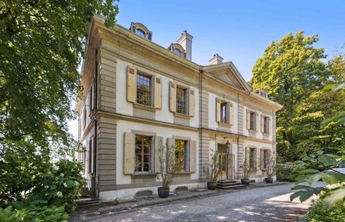 Zep’s house could be bought by the City of Geneva