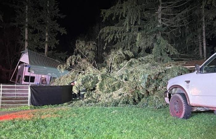 Deadly bomb cyclone slams Seattle area with fierce winds leaving over 600,000 without power