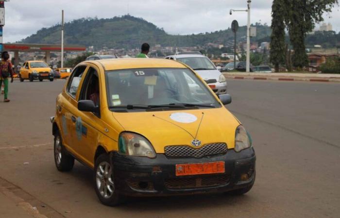 two taxis burned in Bamenda