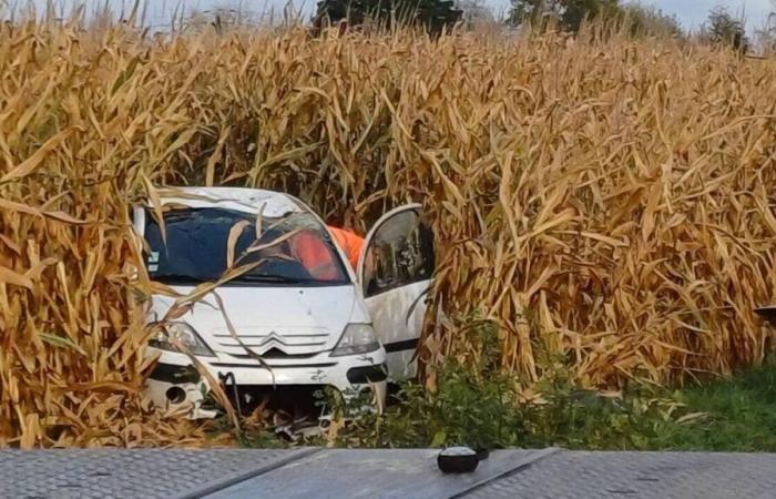 He loses control of his car and ends up in a cornfield in Maine-et-Loire