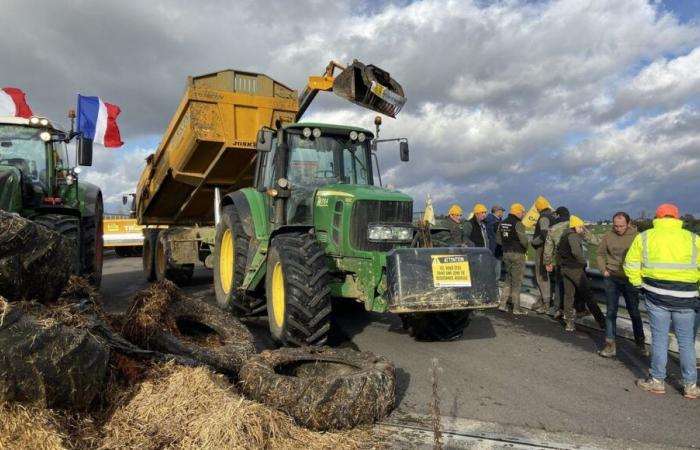 Anger of farmers: the Côte-d'Or Rural Coordination plans to “block the European Parliament” on Monday