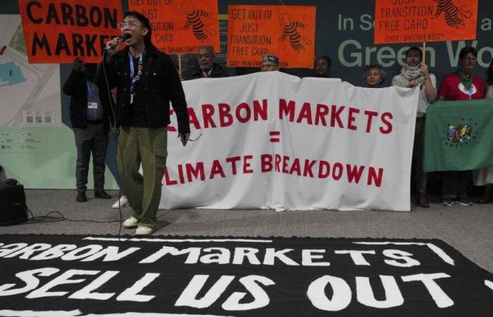 At COP29, carbon markets are being reformed. For the best?