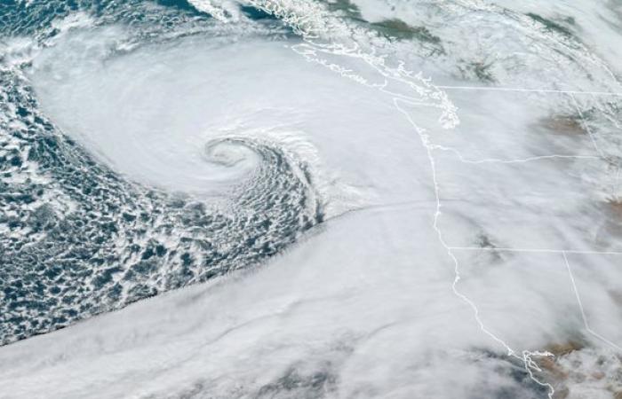 Deadly bomb cyclone slams Seattle area with fierce winds leaving over 600,000 without power