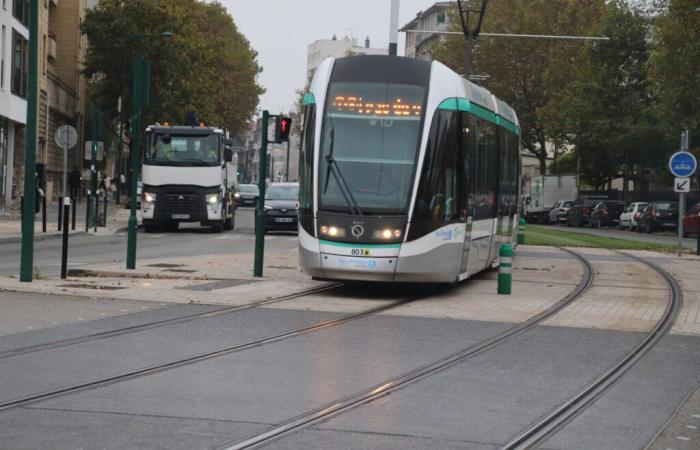 the T8 tram partly interrupted due to dead leaves, announces the RATP