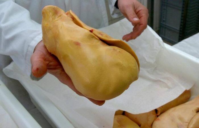 Ban on foie gras: This bone of contention that is feeding French-speaking people