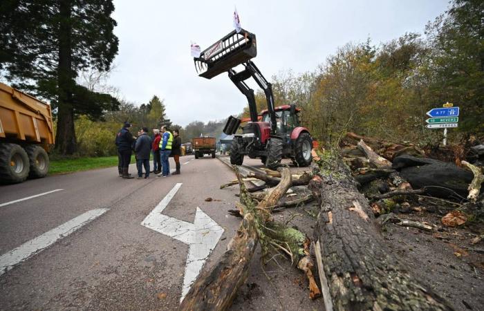 Demonstration of angry farmers in Nièvre, opening of the trial of Pierre Palmade… The news to remember from this Wednesday